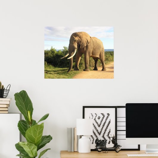 Bull Elephant Poster (Thuiskantoor)