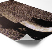 Bull Elephant Poster (Hoek)