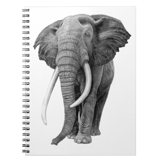 Bull elephant - Tekening in potlood Notitieboek (Voorkant)