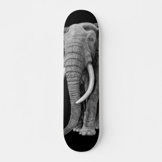 Bull elephant - Tekening in potlood Skateboard (Voorkant)