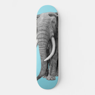 Bull elephant - Tekening in potlood Skateboard