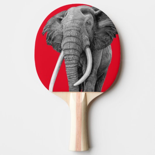 Bull elephant - Tekening in potlood Tafeltennisbatje (Voorkant)