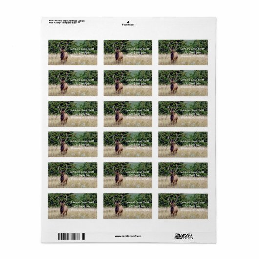 Bull Elk Address Label (Full Sheet)