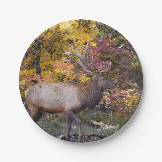 Bull Elk Autumn Bossen Papieren Bordje (Voorkant)