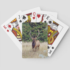 Bull Elk Bicycle Playing Cards Pokerkaarten