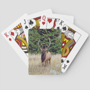 Bull Elk Bicycle Playing Cards Pokerkaarten