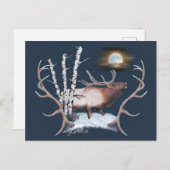 Bull Elk Briefkaart (Voorkant / Achterkant)