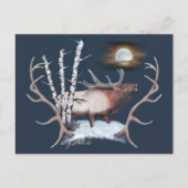 Bull Elk Briefkaart (Voorkant)