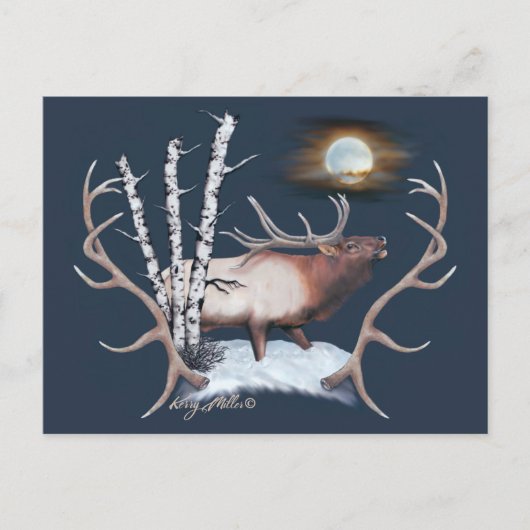 Bull Elk Briefkaart (Voorkant)
