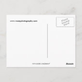 Bull Elk Briefkaart (Achterkant)
