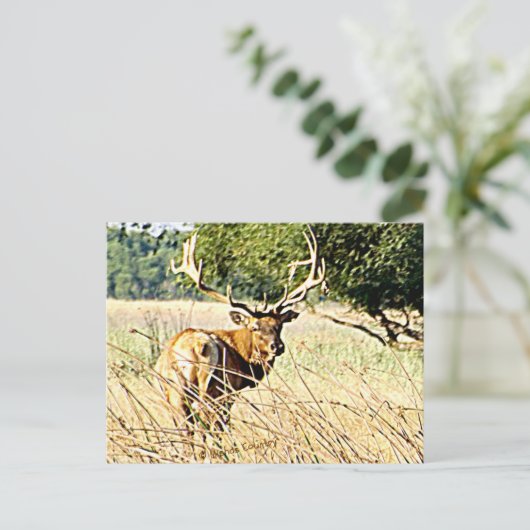 Bull Elk Briefkaart (Staand voorkant)