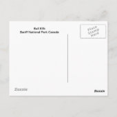 Bull Elk Briefkaart (Achterkant)