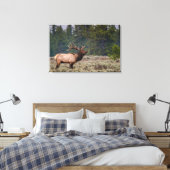 Bull Elk Bugling in de Tetons Canvas Afdruk (Insitu (Slaapkamer))
