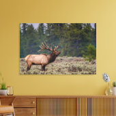 Bull Elk Bugling in de Tetons Canvas Afdruk (Insitu (Woonkamer))