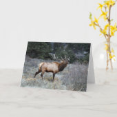 Bull Elk Bugling Kaart (Gele Bloem)