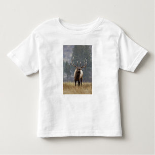 Bull Elk bugling, Yellowstone NP, Wyoming 2 Kinder Shirts