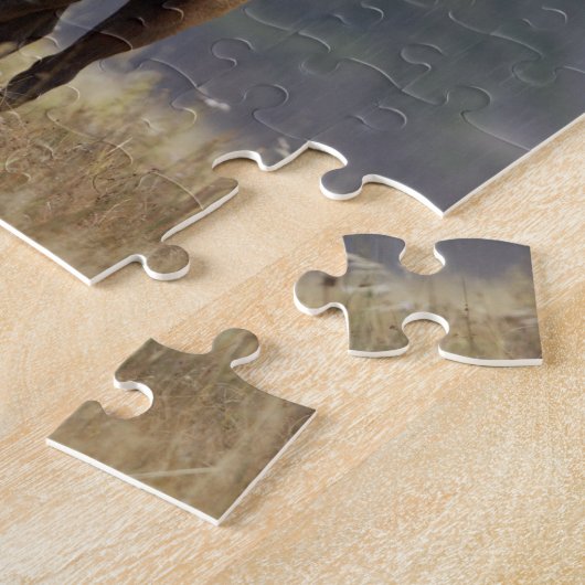 Bull Elk bugling, Yellowstone NP, Wyoming 2 Legpuzzel (Zijkant)