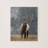 Bull Elk bugling, Yellowstone NP, Wyoming 2 Legpuzzel (Verticaal)
