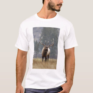 Bull Elk bugling, Yellowstone NP, Wyoming 2 T-shirt