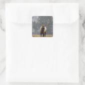 Bull Elk bugling, Yellowstone NP, Wyoming 2 Vierkante Sticker (Tas)