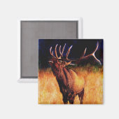 Bull Elk Call of the Wild, Magnet (Voorkant / Achterkant)