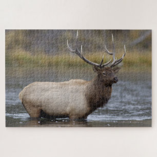 Bull Elk Crossing   Nationaal Park Yellowstone Legpuzzel