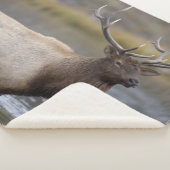 Bull Elk Crossing | Nationaal Park Yellowstone Sherpa Deken (3/4)