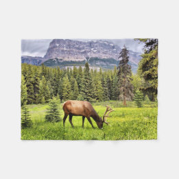 Bull Elk en Castle Mountain in Banff Fleece Deken