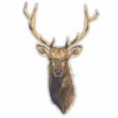 Bull Elk Head Animal natuur wildlife art Sticker (Voorkant)