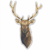 Bull Elk Head Animal natuur wildlife art Sticker (Voorkant)