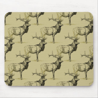 Bull Elk Hunters Wildlife Big Game Hunters Muismat