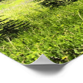 Bull Elk in Castle Mountain Banff National Park Poster (Hoek)