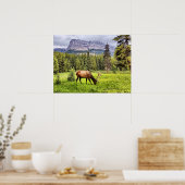 Bull Elk in Castle Mountain Banff National Park Poster (Keuken)