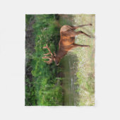 Bull Elk in de National Bison Range, Montana Fleece Deken (Voorkant)