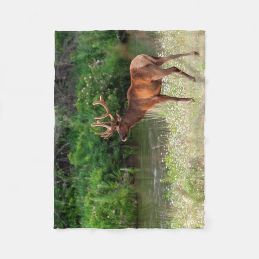 Bull Elk in de National Bison Range, Montana Fleece Deken (Voorkant)