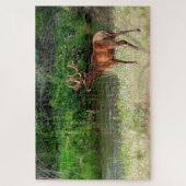 Bull Elk in de National Bison Range, Montana Legpuzzel (Verticaal)