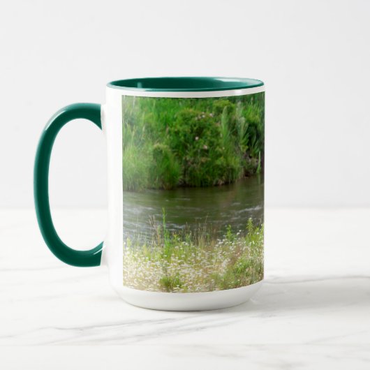 Bull Elk in de National Bison Range, Montana Mok (Links)