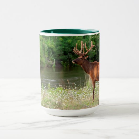 Bull Elk in de National Bison Range, Montana Mok (Midden)