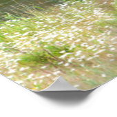 Bull Elk in de National Bison Range, Montana Poster (Hoek)