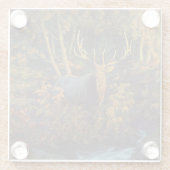 Bull Elk in het herfstbos Glazen Onderzetter (Achterkant)