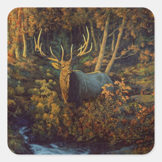Bull Elk in het herfstbos Vierkante Sticker (Voorkant)