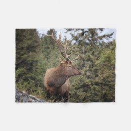 Bull Elk in Jasper Fleece Deken