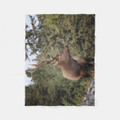 Bull Elk in Jasper Fleece Deken (Voorkant)