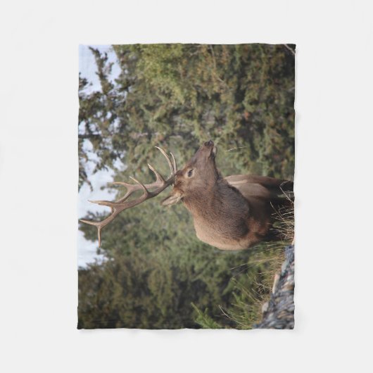 Bull Elk in Jasper Fleece Deken (Voorkant)