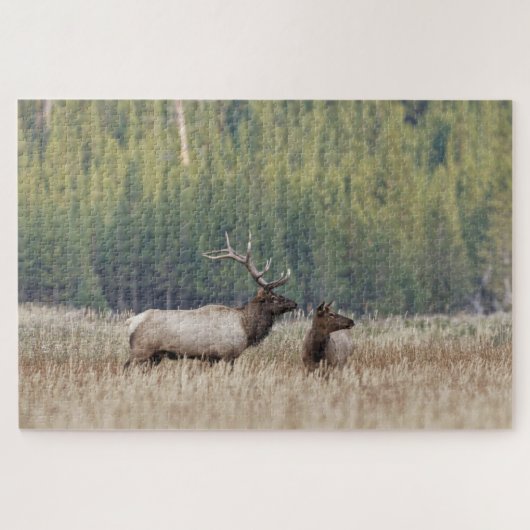 Bull Elk in Meadow | Nationaal Park Yellowstone Legpuzzel (Horizontaal)