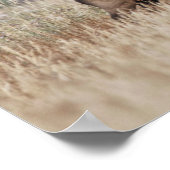 Bull Elk in Meadow | Nationaal Park Yellowstone Poster (Hoek)