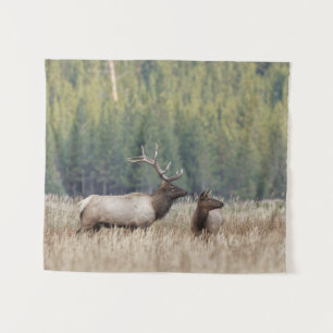 Bull Elk in Meadow   Nationaal Park Yellowstone Wandkleed