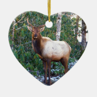Bull Elk in Rhododendrons Keramisch Ornament