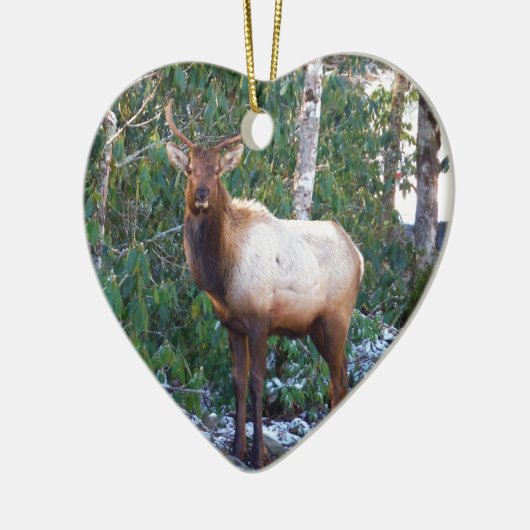 Bull Elk in Rhododendrons Keramisch Ornament (Links)