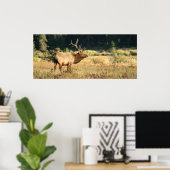 Bull Elk in Rocky Mountian National Park Poster (Thuiskantoor)